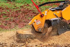 Best Tree Mulching Services  in Winter Gardens, CA